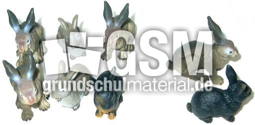 Hasen8-2.jpg
